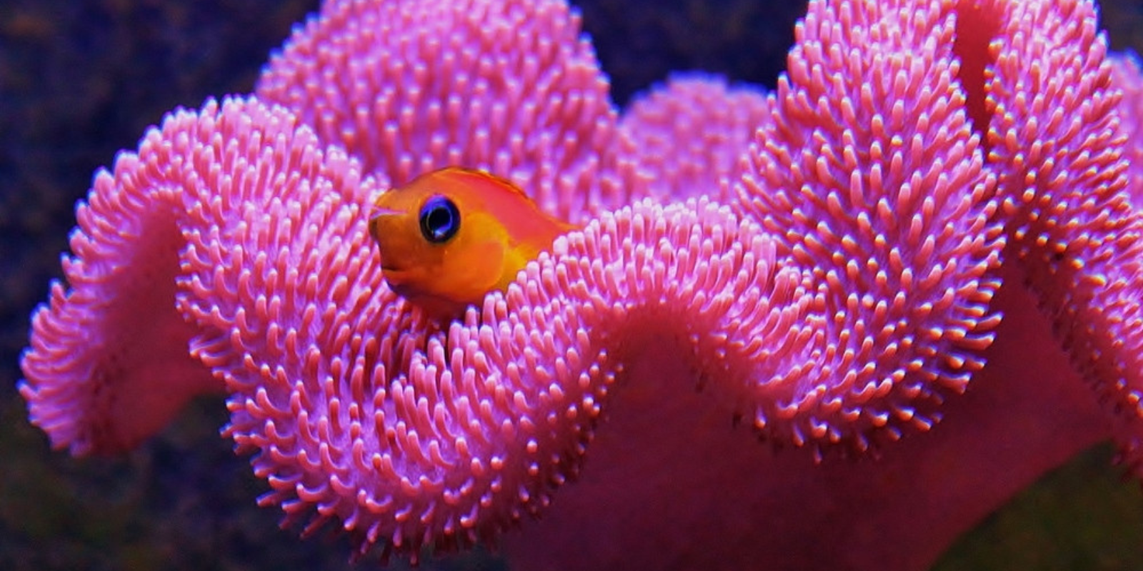 Installations & Maintenance