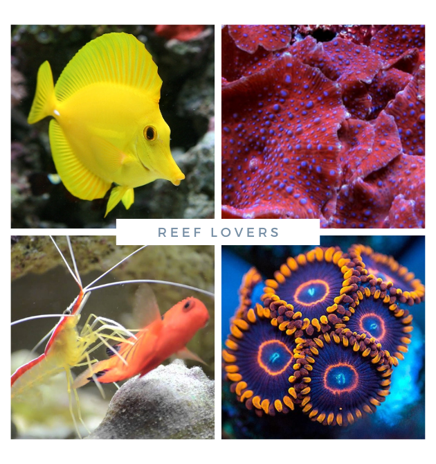 Installations & Maintenance